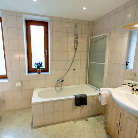Ski-n-lake Apartment Zell am See